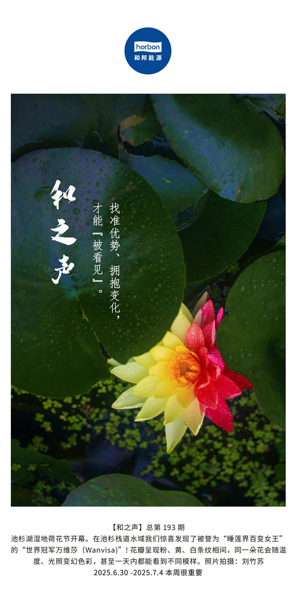 【和之声】找准优势、拥抱变动，能力“被看见”。(总第193期）--2025.6中文导出季度推送用.jpg